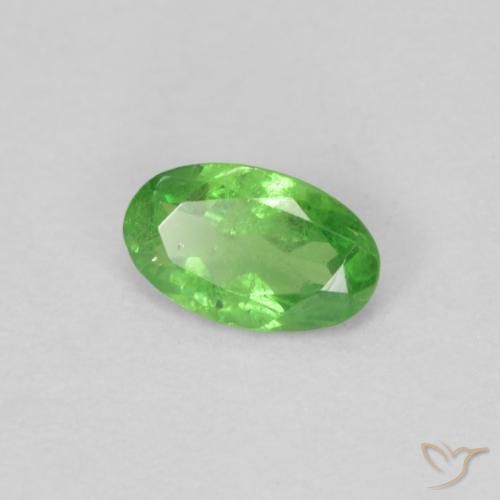 Granato Tsavorite Verde acceso naturale da 0.22 ct, Ovale, VS