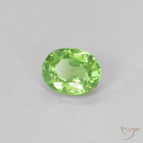 Granato Tsavorite Verde acceso naturale da 0.22 ct, Ovale, VS