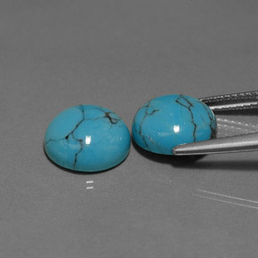 Gemme di Turchese Blu naturale da  ct, Taglio rotondo, Opaco