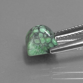 Turchese naturale verde da 2,29 ct, quadrato, opaco