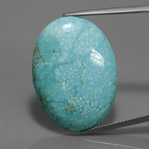 Turchese Blu verde naturale da 24.01 ct, Taglio ovale, Opaco