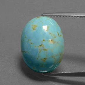 Turchese Blu naturale da 7.84 ct, Taglio ovale, Opaco