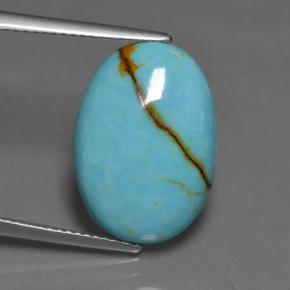 Turchese Blu naturale da 7.75 ct, Taglio ovale, Opaco