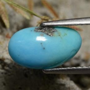 Turchese naturale blu da 1,34 ct, forma fantasia, opaco