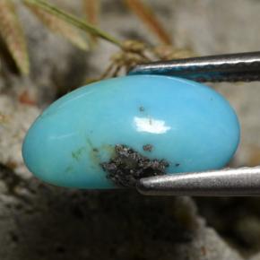 Turchese naturale blu da 1,34 ct, forma fantasia, opaco