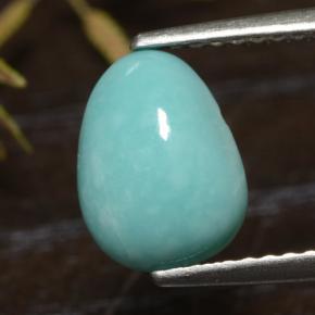 Turchese Blu naturale da 1.49 ct, Forma fantasia, Opaco