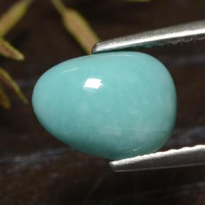 Turchese Blu naturale da 1.49 ct, Forma fantasia, Opaco