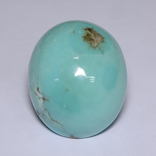 Turchese Blu naturale da 17.82 ct, Taglio ovale, Opaco