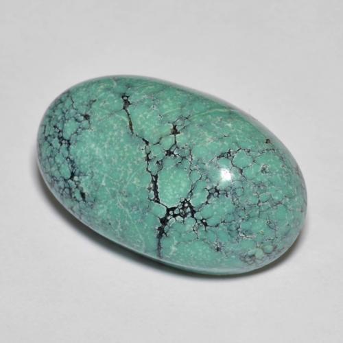 Turchese naturale turchese da 13,76 ct, taglio ovale, opaco
