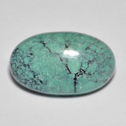 Turchese naturale turchese da 13,76 ct, taglio ovale, opaco