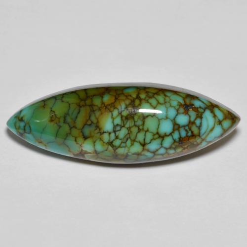 Turchese naturale multicolore da 11,50 ct, marchesa, opaco