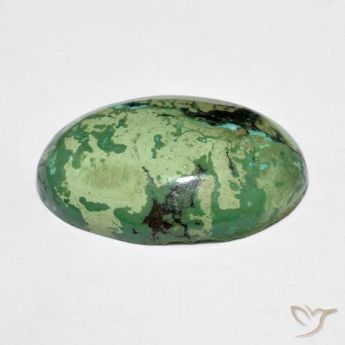 Turchese naturale verde da 9,73 ct, taglio ovale, opaco