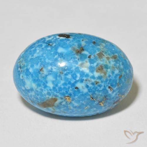 24.33ct Naturale Teal-blu Turchese, Ovale, Opaco