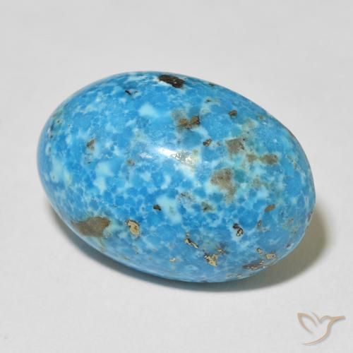 Turchese Teal-blu naturale da 24.33 ct, Ovale, Opaco