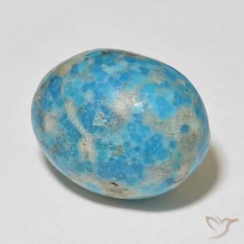 Turchese Blu verdastro brillante naturale da 24.07 ct, Ovale, Opaco
