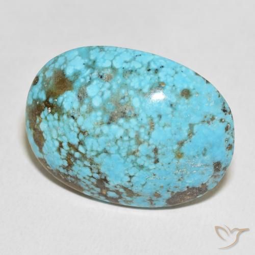 Turchese Blu verdastro naturale da 48.31 ct, Ovale, Opaco