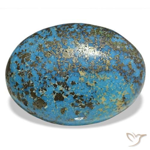 31.32ct turchese turchese, ovale, opaco