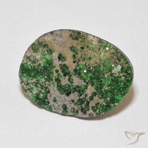 Uvarovite Granato Drusy Deep Earthy Green naturale da 16.55 ct, Taglio a fantasia, Opaco