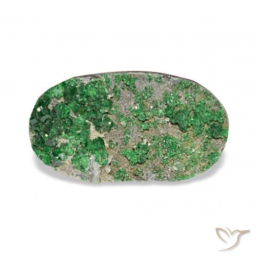 7.91ct Deep Earthy Green Uvarovite Granato Drusy, Ovale, Opaco