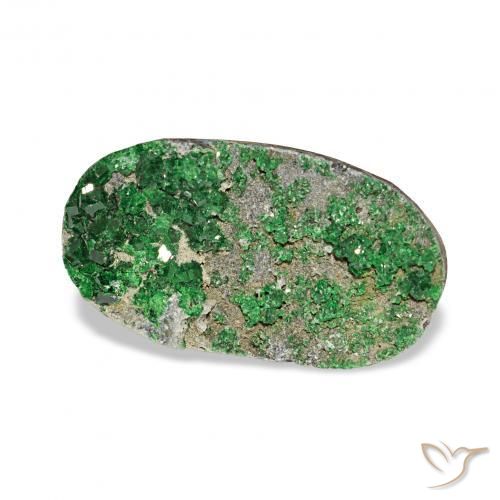 Uvarovite Granato Drusy Deep Earthy Green naturale da 7.91 ct, Ovale, Opaco