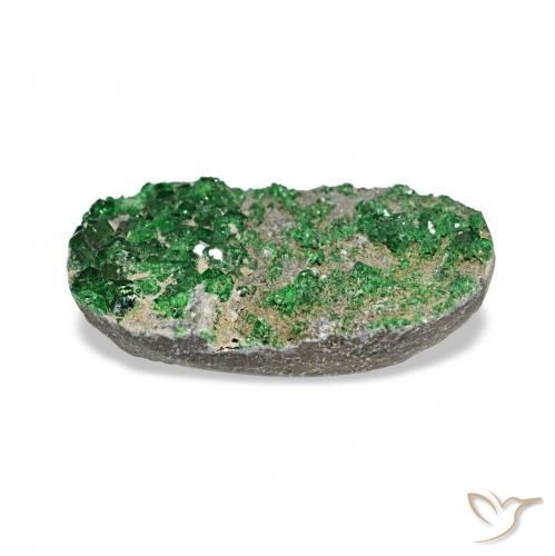 Uvarovite Granato Drusy Deep Earthy Green naturale da 7.91 ct, Ovale, Opaco