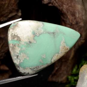 Variscite Verde naturale da 28.69 ct, Taglio trillion, Opaco