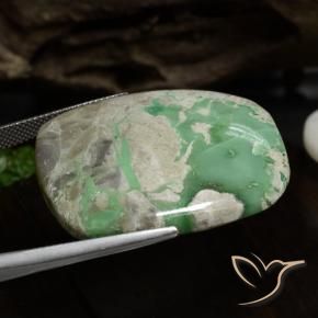 Variscite Multicolore naturale da 51.51 ct, Cuscino, Opaco