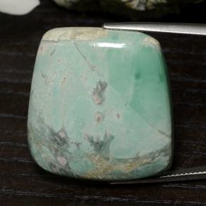 Variscite Verde naturale da 47.54 ct, Forma fantasia, Opaco