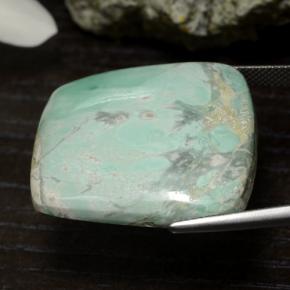 Variscite Verde naturale da 47.54 ct, Forma fantasia, Opaco