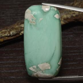 Variscite Verde chiaro naturale da 43.29 ct, Taglio a cuscino, Opaco