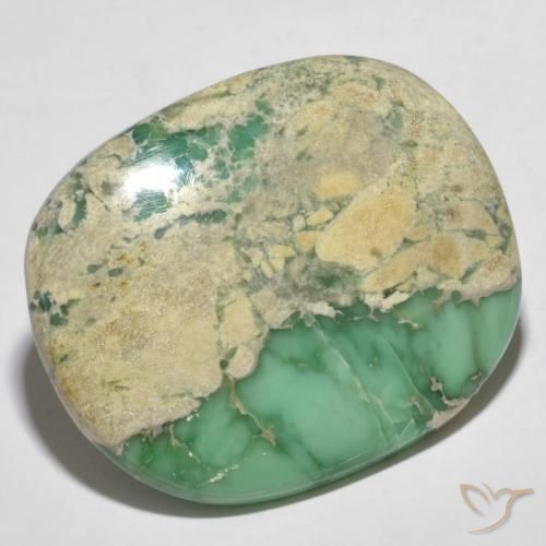 Variscite Verde medio naturale da 60.66 ct, Cuscino, Opaco