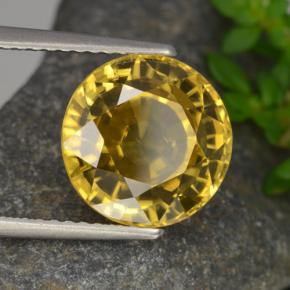 Zircone naturale giallo da 6,97 ct, taglio rotondo, VVS