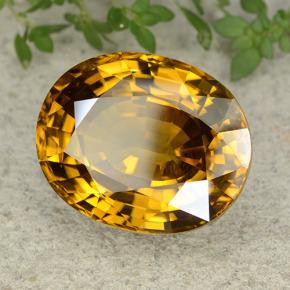 Zircone naturale giallo da 47,35 ct, taglio ovale, VVS